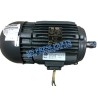 C4.102.1982,Heidelberg CD102/SM74/XL105/CD74/SM102 machine motor